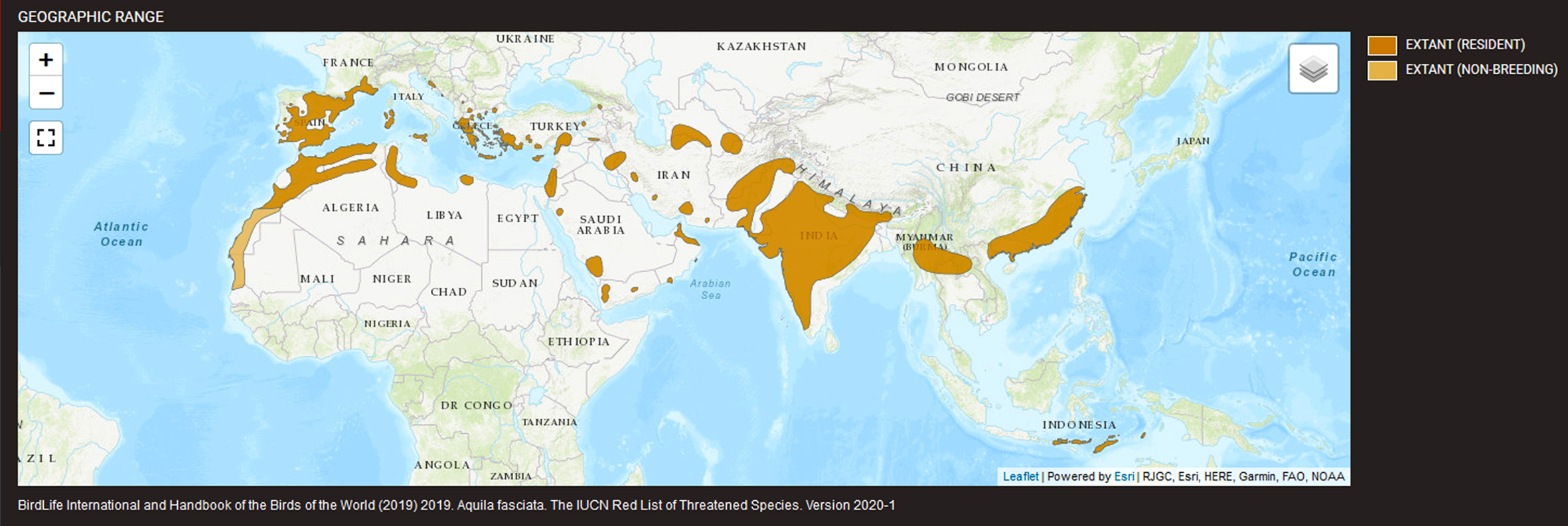 Global distribution Bonellis Eagle IUCN