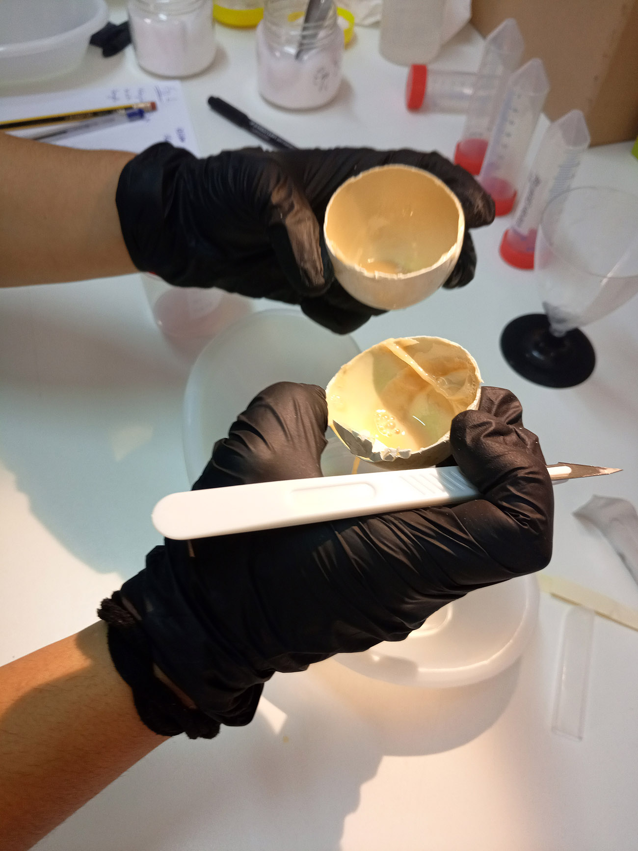 LIFEBonelliEastMed EGeorgopoulou NHMC