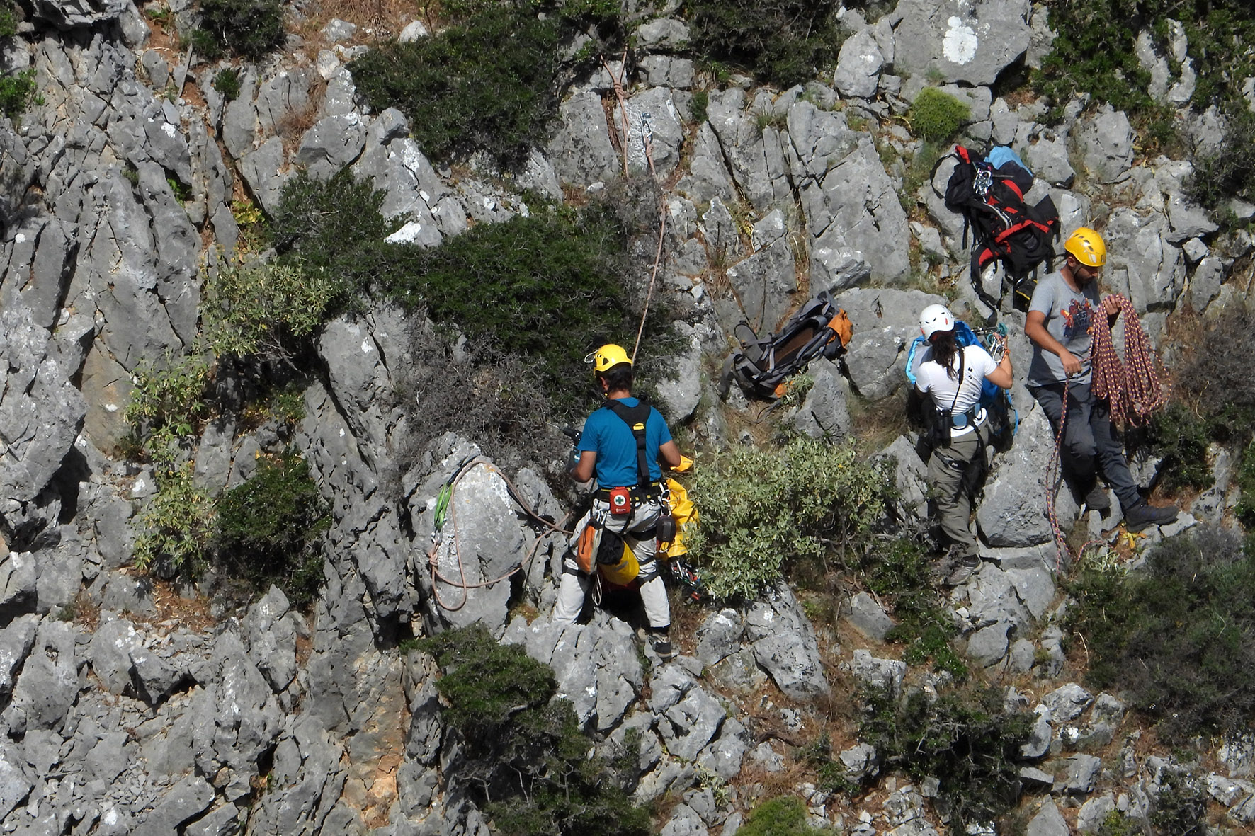 LIFEBonelliEastMed KDamianakis NHMC 2