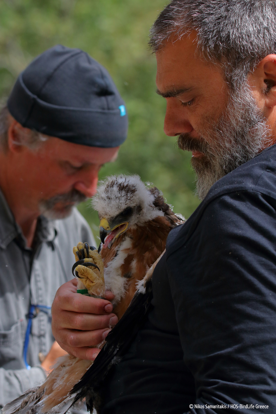 Malathyros 180421 NikosSamaritakis 1