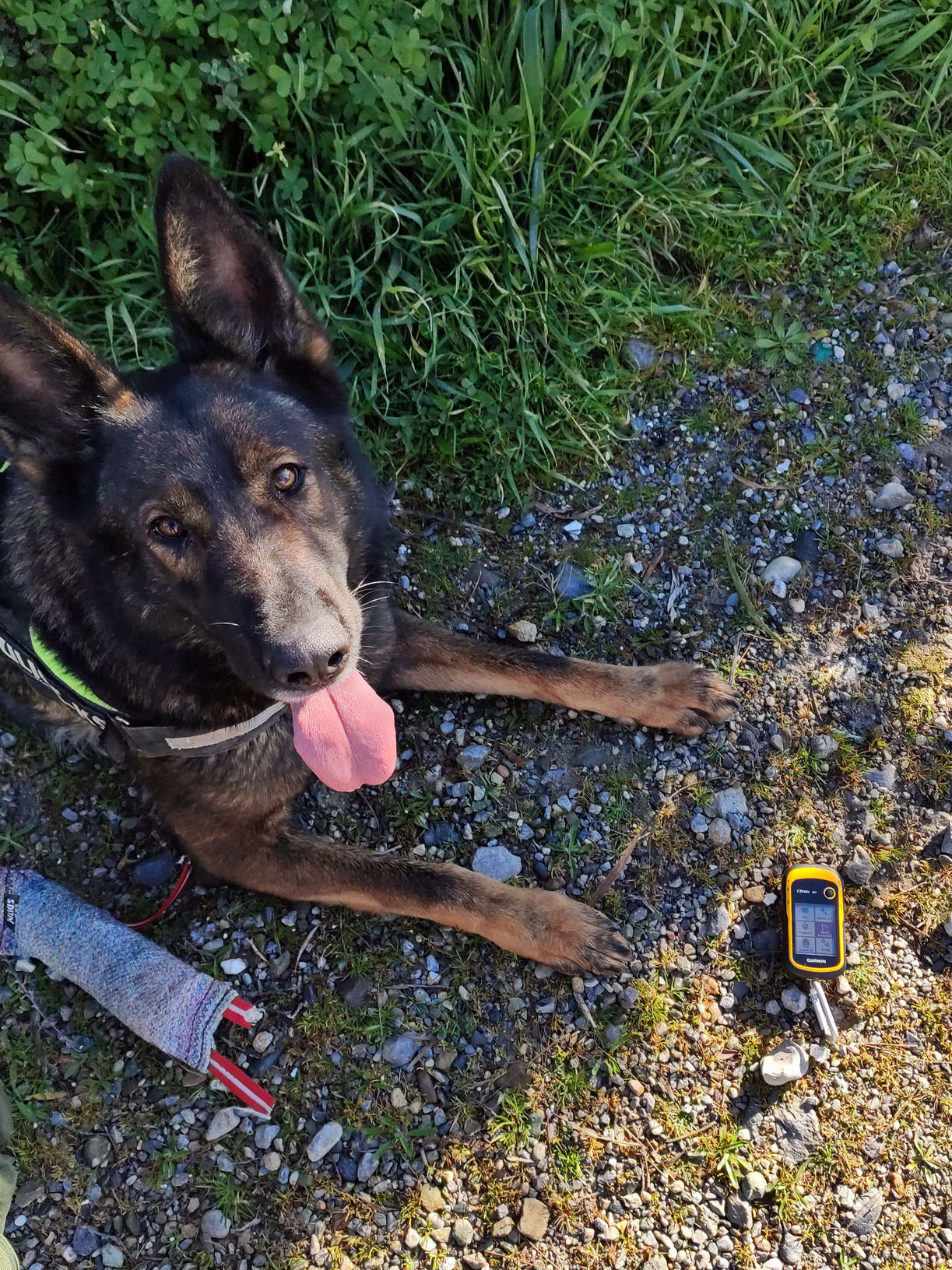 Paca Point1 siteia 02262020