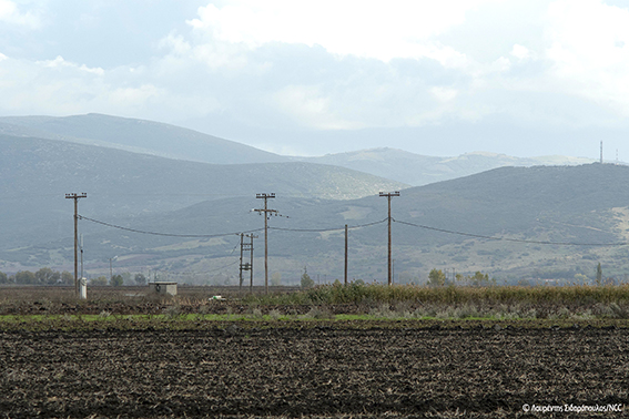 Spizaetos Electrocution ThessalikosKampos 112019 LSidiropoulos NCC 1