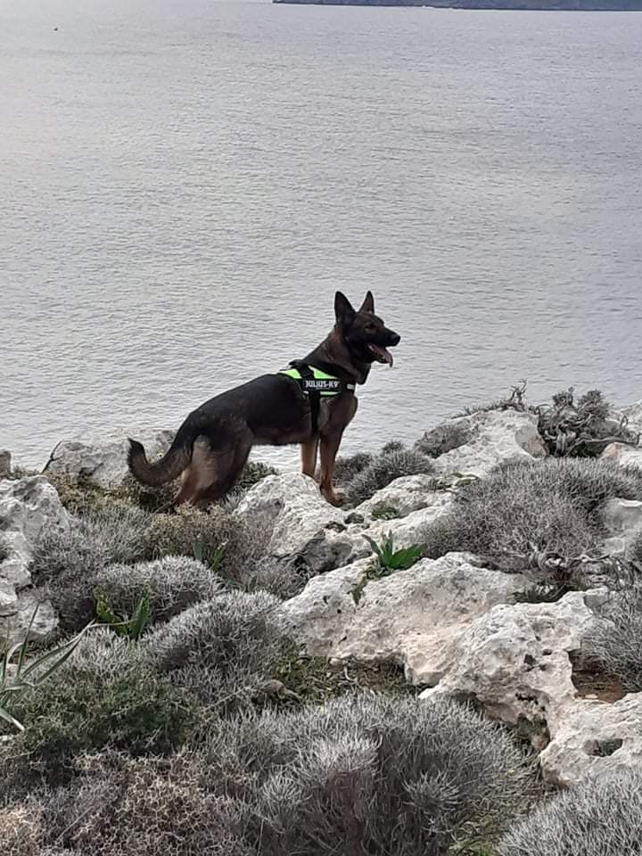 received 3229789530370327 tsika 01.16.2020 archaggelos