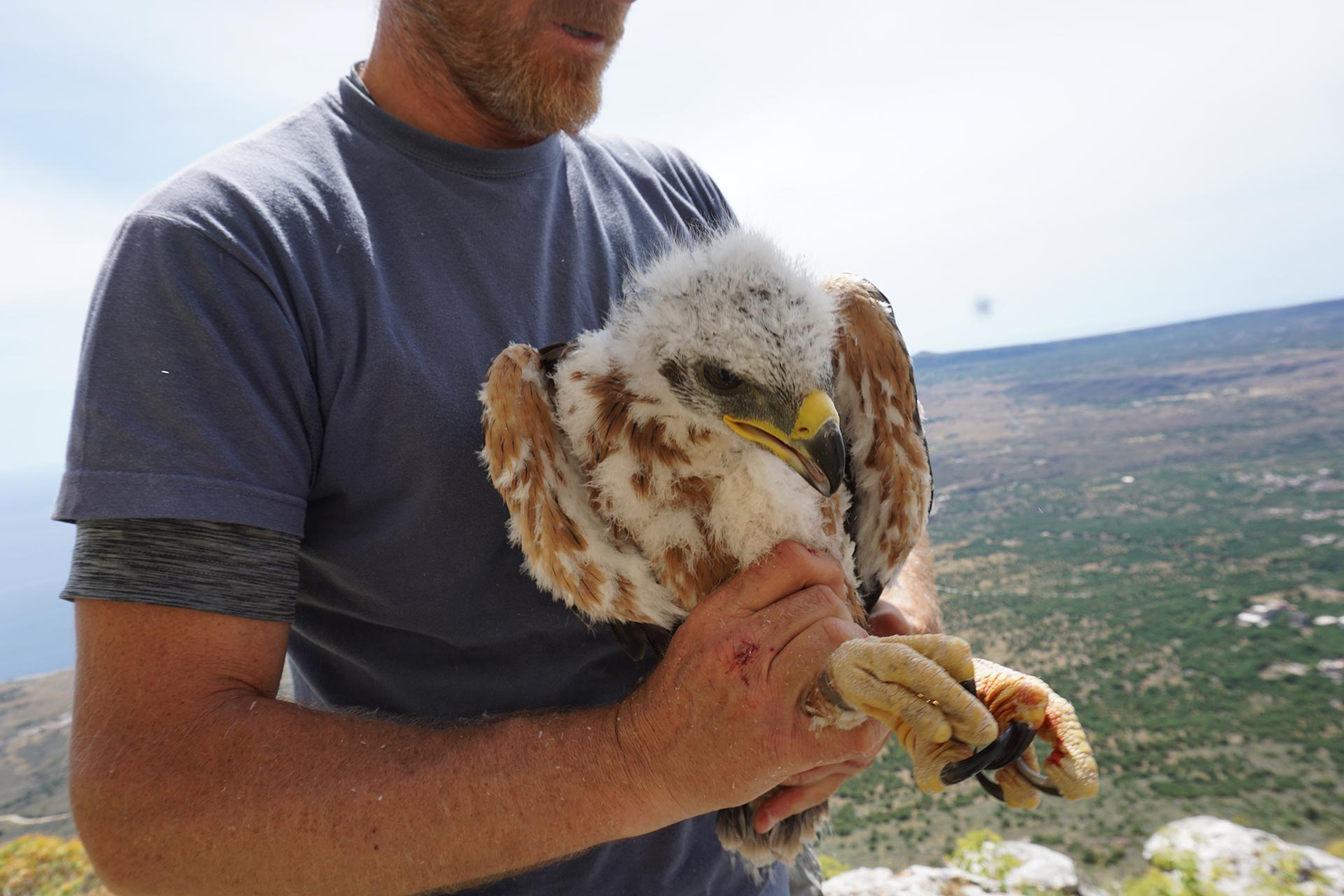 dsc00111 hos nikostsiopelas