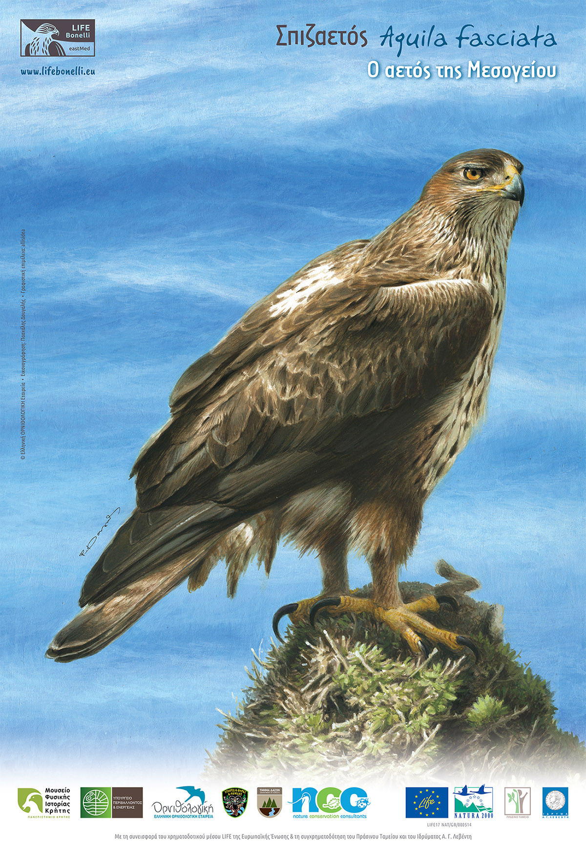 Bonelli Poster 2 WEB