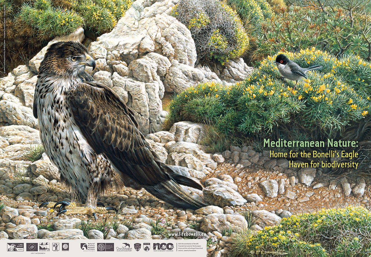 Bonelli Poster 3 ENG WEB