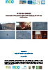 Replicability and Tranferability Report V5Final 1 thumb