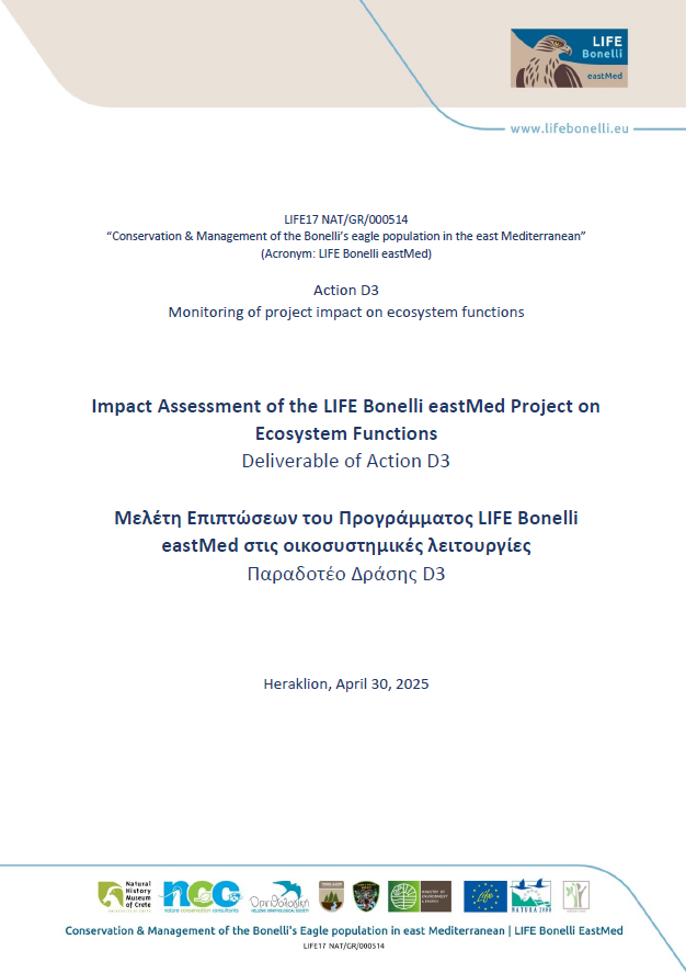 Screenshot 2025 06 24 101034