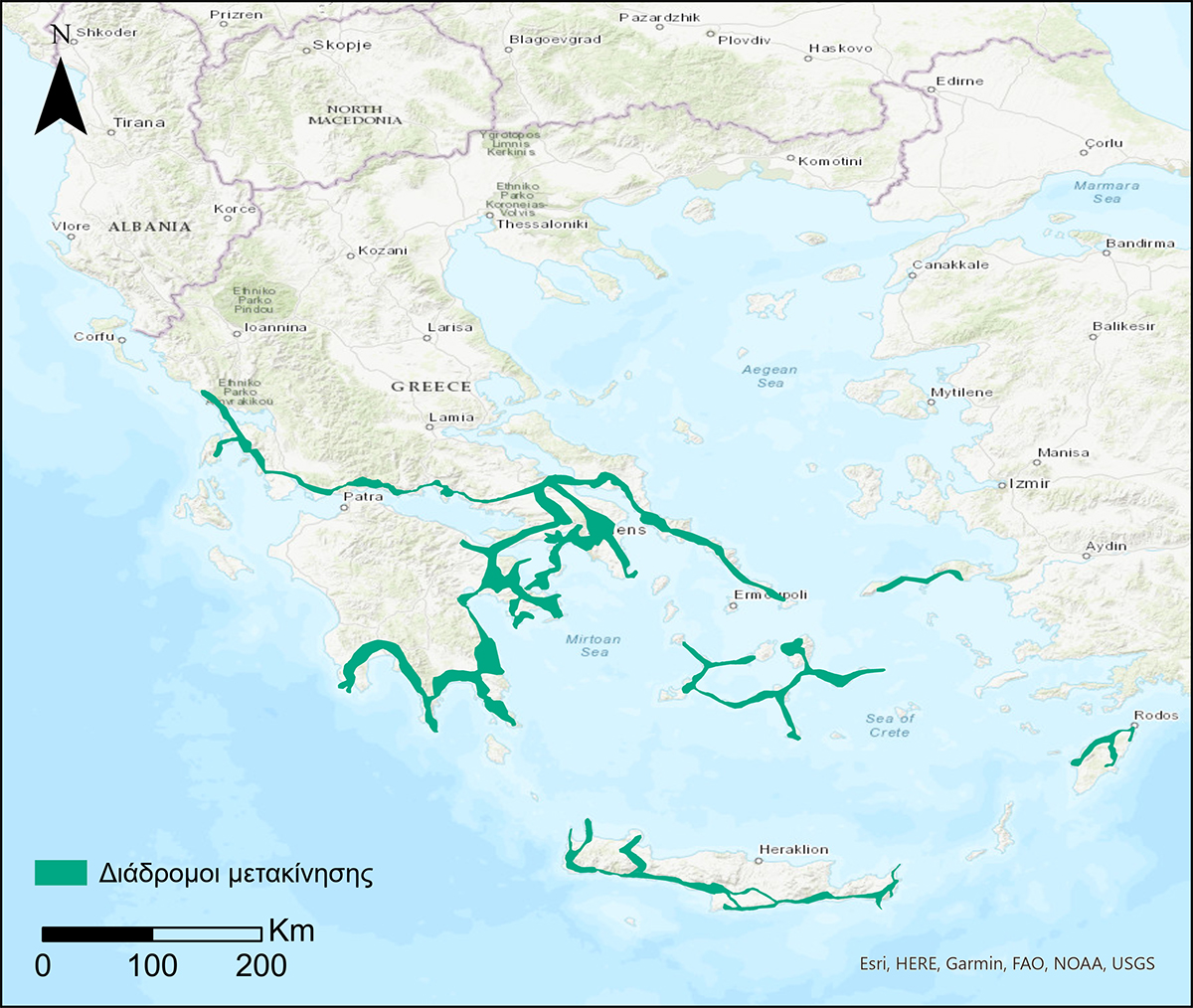 διάδρομοι μετακίνησης