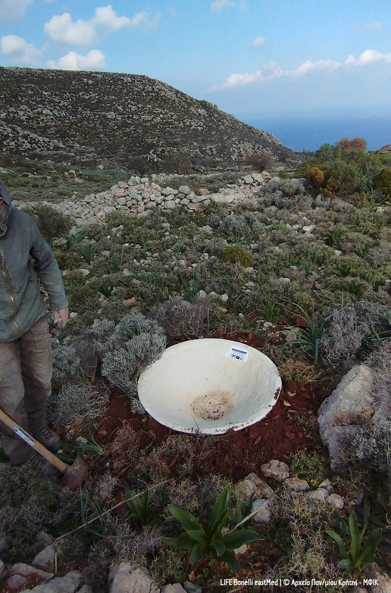 1 Tilos NEO udatosyllogi cr