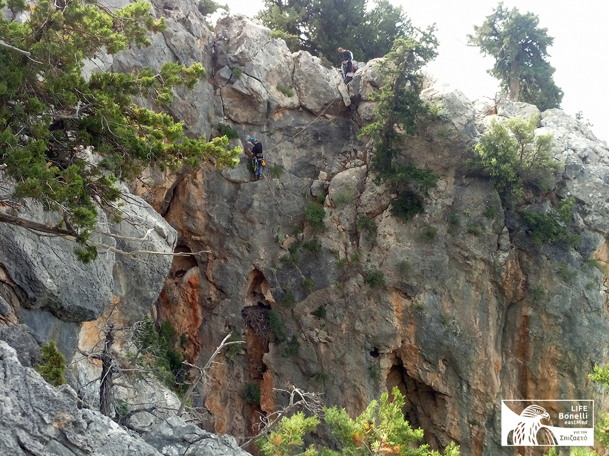 20230330 Monitoring Rodos logo 1