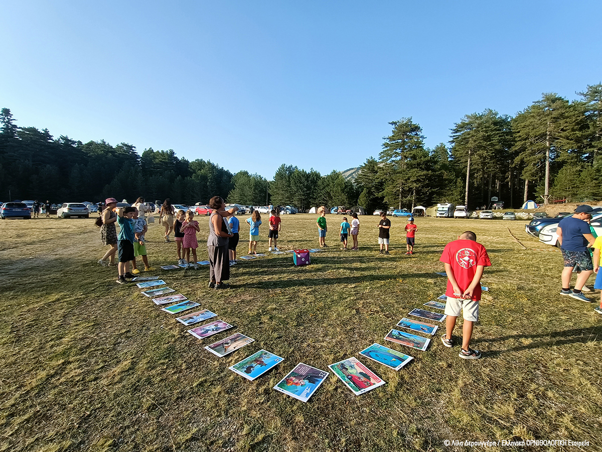 2023 07 14 Astroeksormisi Parnonas LilaDerouggeri ORNITHOLOGIKI