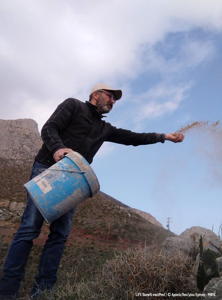 6 Tilos NEO spores cr