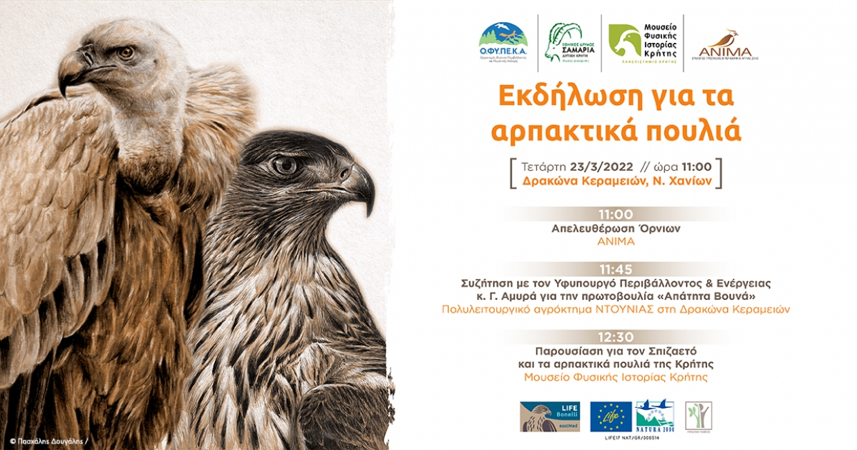 Εκδήλωση για τα αρπακτικά πουλιά στην Κρήτη