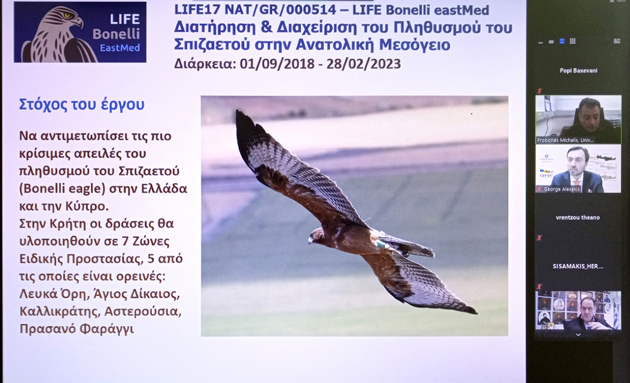 &Pi;&alpha;&rho;&omicron;&upsilon;&sigma;ί&alpha;&sigma;&eta; &kappa;&alpha;&iota; &delta;&iota;&kappa;&tau;ύ&omega;&sigma;&eta; &tau;&omicron;&upsilon; LIFE Bonelli eastMed &sigma;&epsilon; &phi;&omicron;&rho;&epsilon;ί&sigmaf; &tau;&eta;&sigmaf; &Kappa;&rho;ή&tau;&eta;&sigmaf;