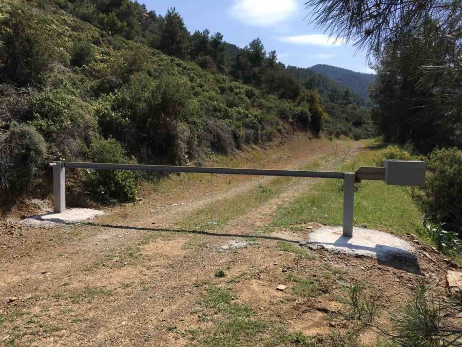 Δράσεις για τη μείωση της όχλησης και τη βελτίωση της διαθεσιμότητας τροφής για τον Σπιζαετό στην Κύπρο