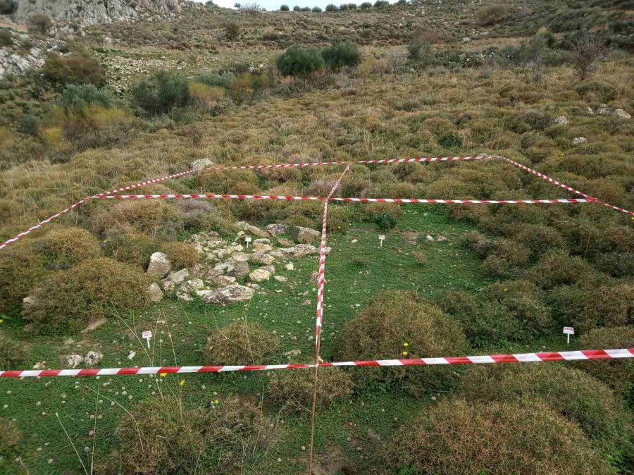 Sowing in benefit of the Bonelli&#039;s Eagle in Crete