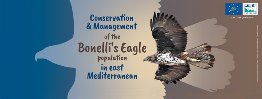 Προκήρυξη: Σύμβαση για Δασολόγο στο ΥΠΕΝ για το Πρόγραμμα LIFE Bonelli eastMed