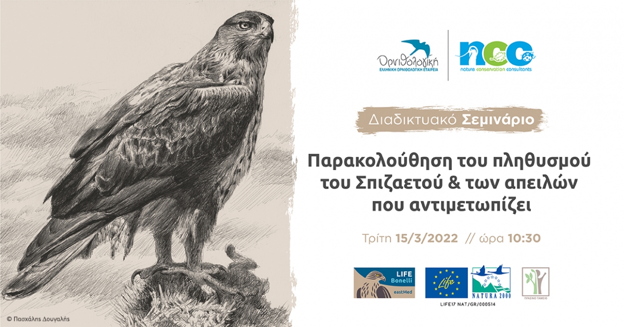 Διαδικτυακό Σεμινάριο: Παρακολούθηση πληθυσμού &amp; απειλών Σπιζαετού