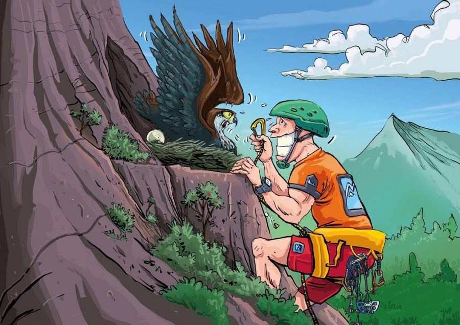 Bonelli’s Eagle travels to Meteora
