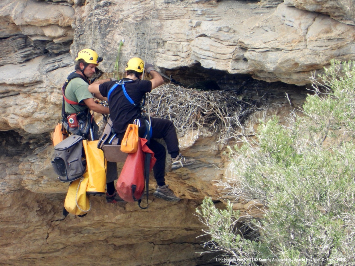 Descending to Bonelli’s eagle nests in Greece