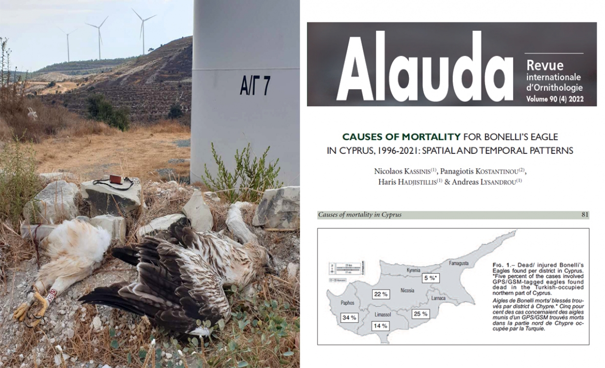 The causes of mortality for Bonelli’s Eagles in Cyprus (1996-2021)
