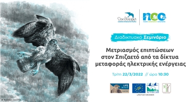 Διαδικτυακό Σεμινάριο: Μετριασμός επιπτώσεων στον Σπιζαετό από τα δίκτυα μεταφοράς ηλεκτρικής ενέργειας
