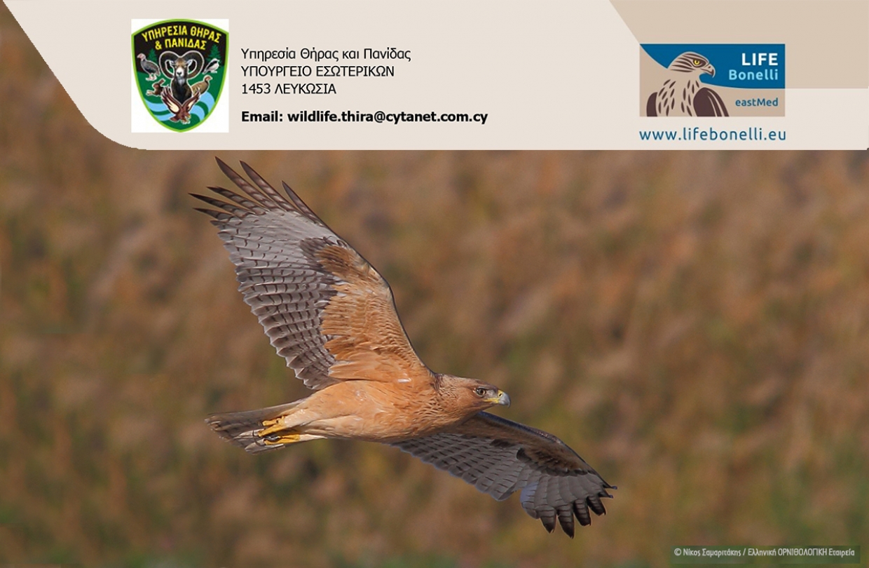 Hμερίδα «Σπιζαετός και μικρής κλίμακας Ορνιθοτροφεία-Λύσεις και Προκλήσεις»
