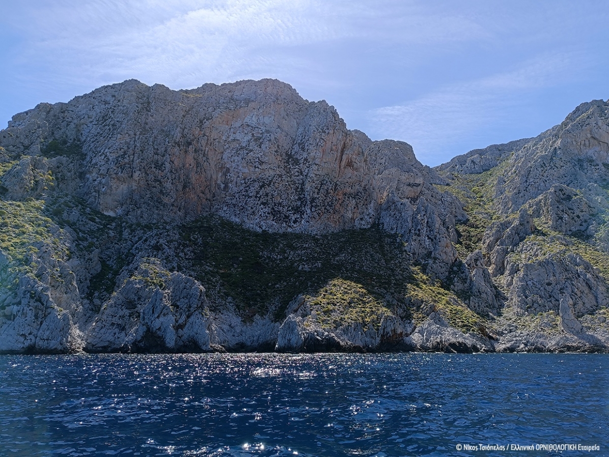 Ο Σπιζαετός στον Αργοσαρωνικό