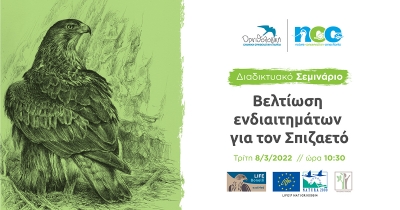Διαδικτυακό Σεμινάριο: Βελτίωση Ενδιαιτημάτων για τον Σπιζαετό