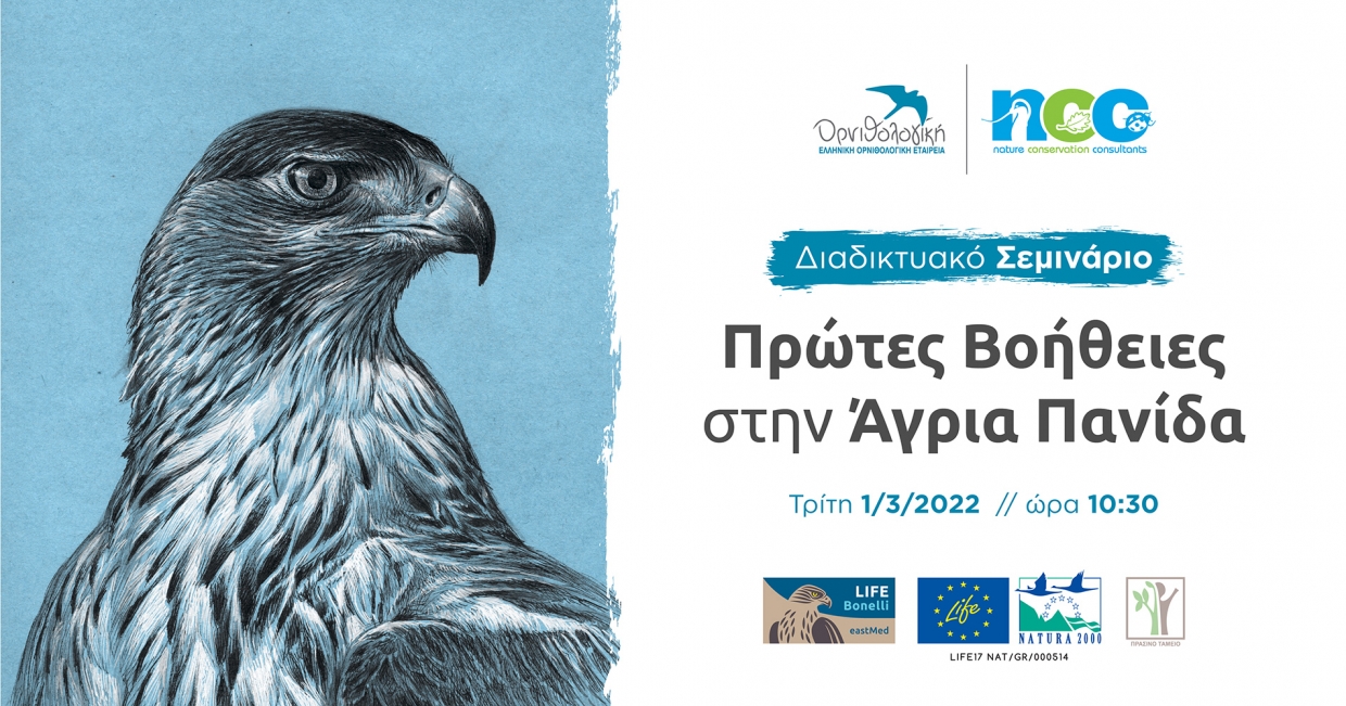 Διαδικτυακό Σεμινάριο: Πρώτες Βοήθειες στην άγρια πανίδα