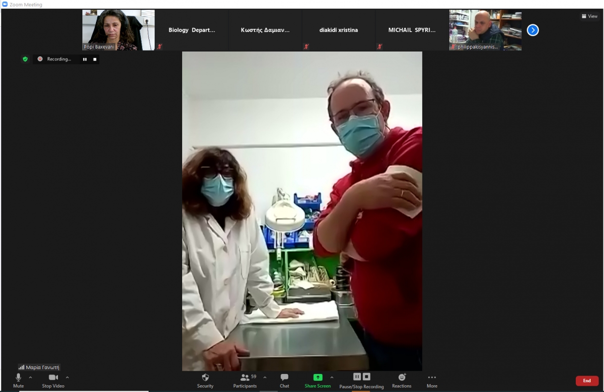 Διαδικτυακό Σεμινάριο &quot;Πρώτων Βοηθειών για την Άγρια Πανίδα&quot;